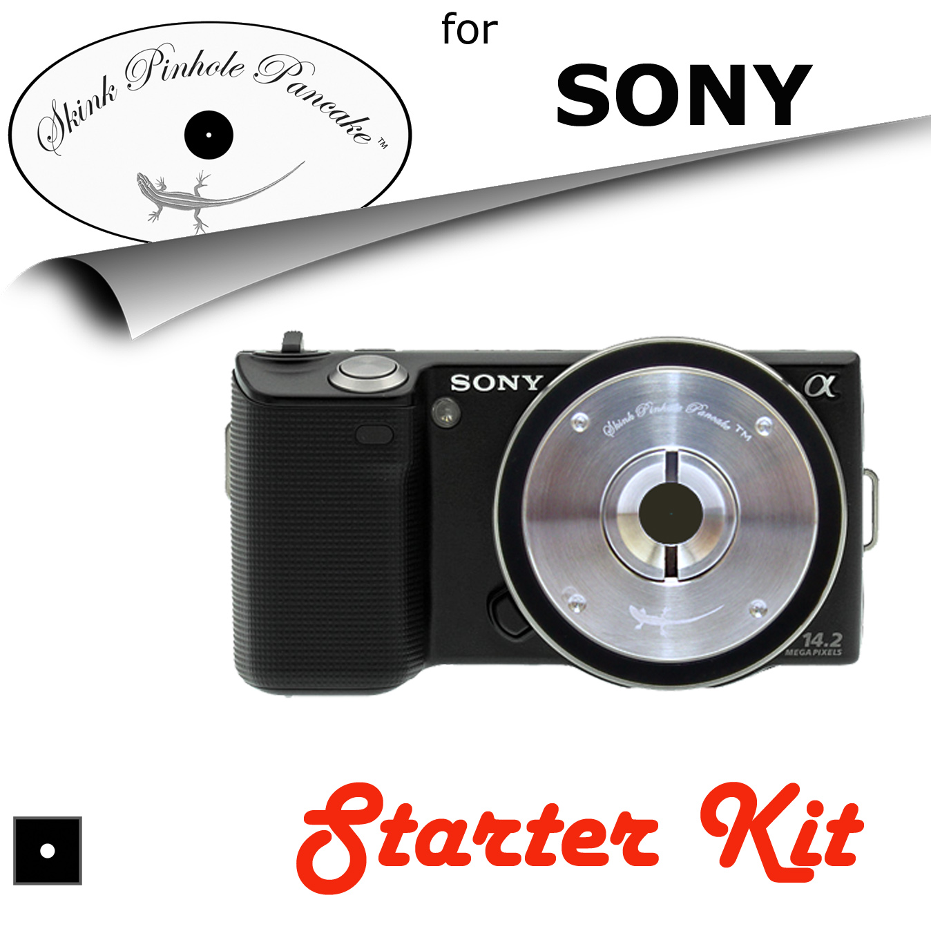 Sony NEX in a Pinhole camera 